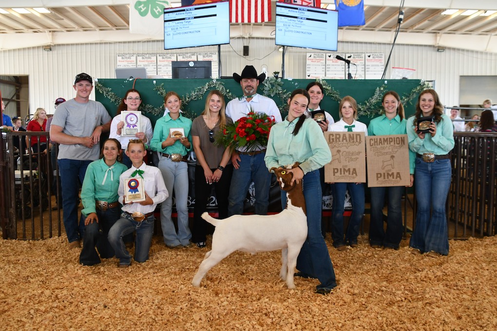 pima county jr livestock grand champion goat image